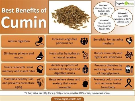 cuminin|Cumin: Benefits and Side Effects